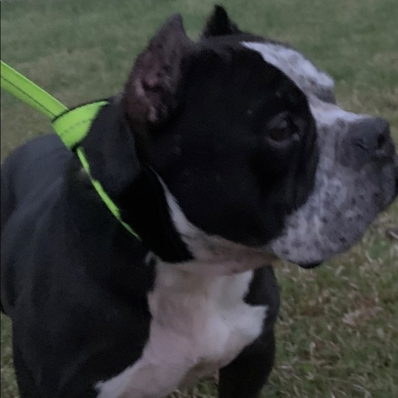 Meet your Posher, Jeremy - Picture 1 of 1